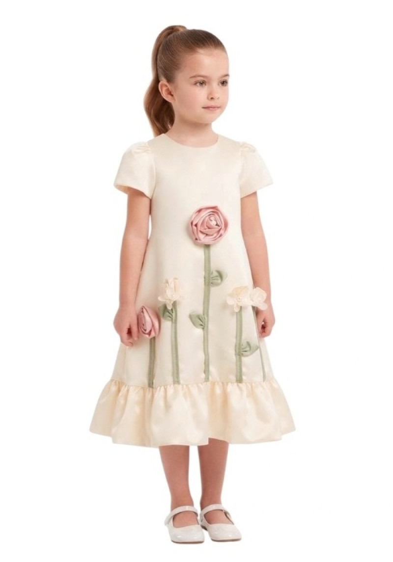 Satin Floral 3D A-Line Dress