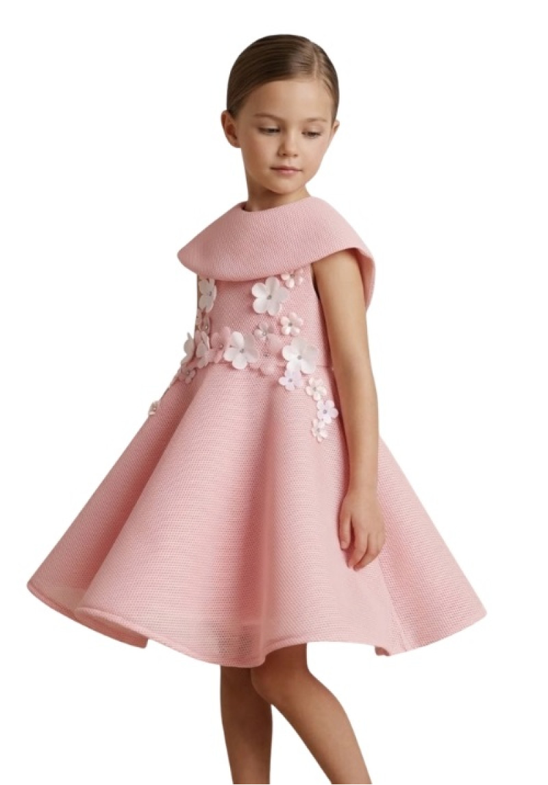 Pink Mesh Overlay Floral Capelet Dress