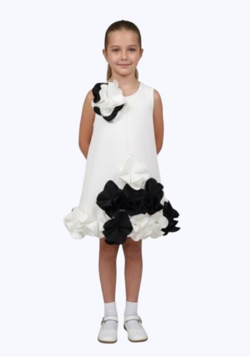 WhiteBlack Dress