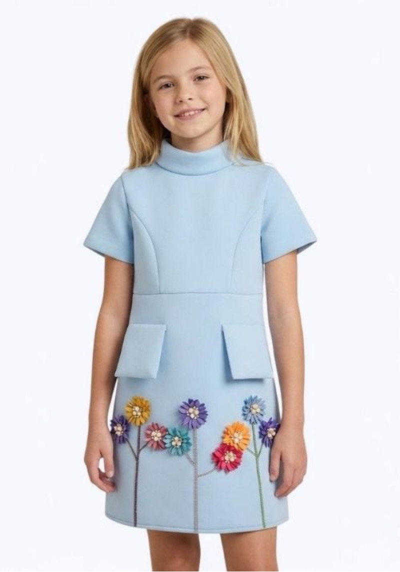 Dress Pocket 