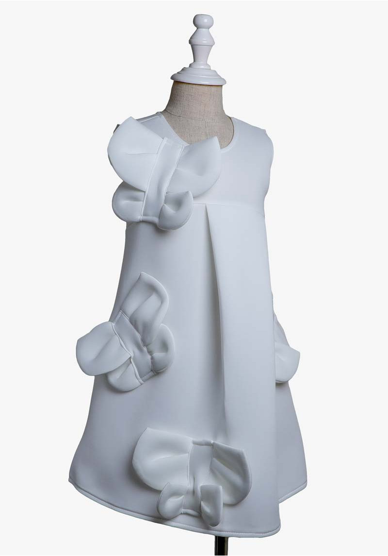 Pretty Butterfly Dress